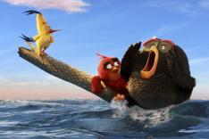 Angry Birds : le film