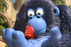 Les as de la jungle à la rescousse