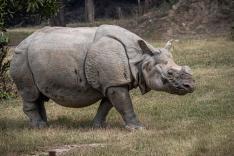 Une saison au zoo