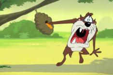 Looney Tunes Cartoons