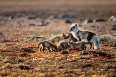 Une planète parfaite