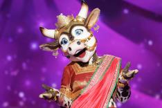 Mask Singer