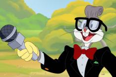 Looney Tunes Cartoons