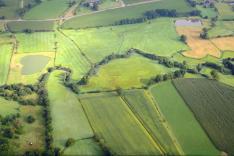 Des racines et des ailes