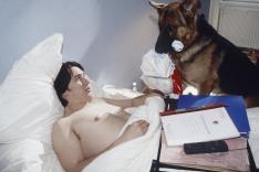 Rex, chien flic