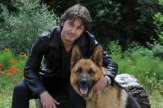 Rex, chien flic