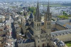 Des racines et des ailes