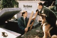 Rex, chien flic