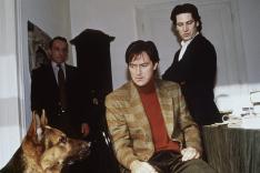 Rex, chien flic