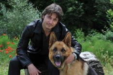 Rex, chien flic