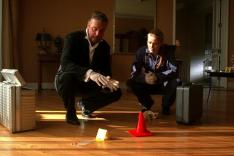 Les experts