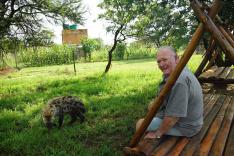 Refuges pour animaux sauvages
