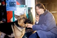 Rex, chien flic