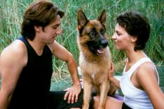 Rex, chien flic
