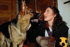 Rex, chien flic