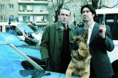 Rex, chien flic