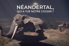 Néandertal : qui a tué notre cousin ?
