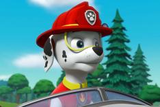 Pat' Patrouille