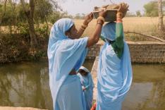 Soeurs de la terre