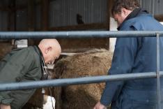 L'incroyable Dr Pol