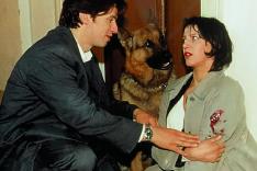 Rex, chien flic