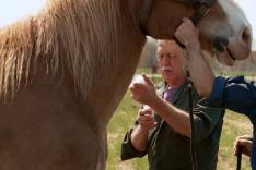 L'incroyable Dr Pol