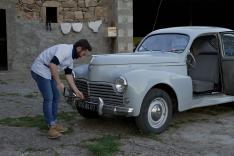 Le dernier visiteur