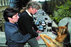 Rex, chien flic