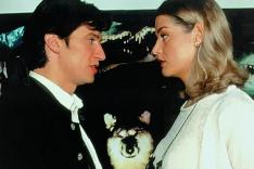 Rex, chien flic