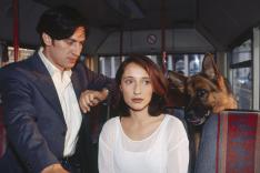 Rex, chien flic