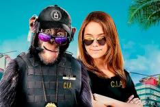 C.I.Ape