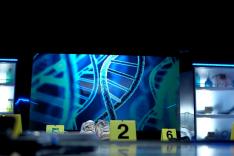 Crimes et indices