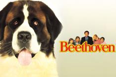 Beethoven