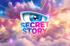 Secret Story