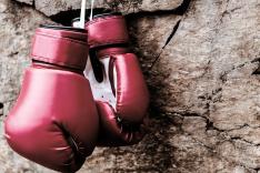 Boxe : La nuit de GMG
