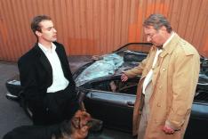 Rex, chien flic