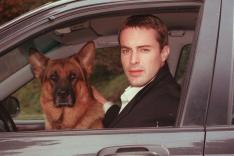 Rex, chien flic