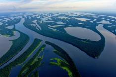 Destination Wild : Amazonie