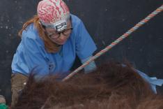 Michelle ou la vie sauvage