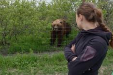 Michelle ou la vie sauvage
