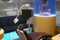 Les rois des aquariums