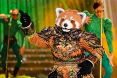 Mask Singer