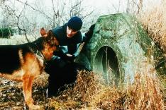 Rex, chien flic