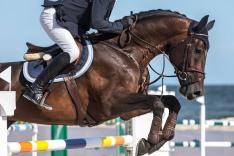 Reiten - Deutsche Meisterschaften Dressur/Springreiten
