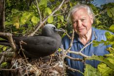 Le tour du monde de David Attenborough