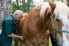 L'incroyable Dr Pol