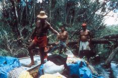 Destination Wild : Amazonie