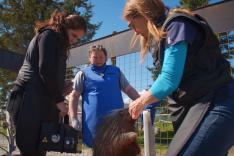 Michelle ou la vie sauvage