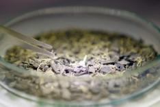 Dans les cuisines de la Préhistoire