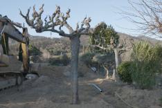 Jardins XXL
